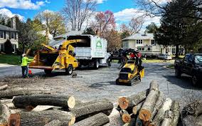 Seasonal Cleanup (Spring/Fall) in Cold Spring, MN